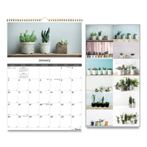 12-Month Wall Calendar, 12 X 17, Succulent Plants, 2021 1