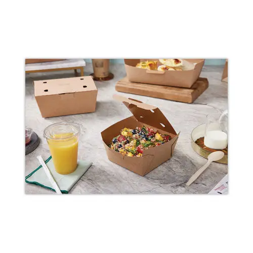 Earth Choice Tamper Evident Paper Onebox, 4.5 X 4.5 X 2.5, Kraft, 312-Carton 1
