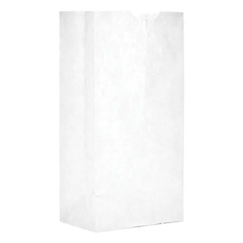 Grocery Paper Bags, 30 Lbs Capacity, #4, 5"W X 3.33"D X 9.75"H, White, 500 Bags 1
