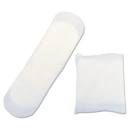 Maxithins Sanitary Pads, 250-Carton 1