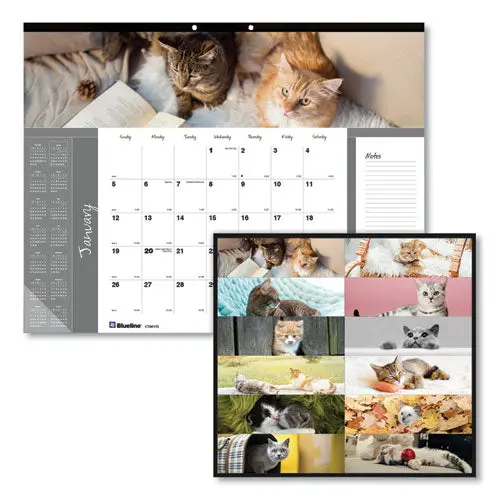Pets Collection Monthly Desk Pad, 22 X 17, Furry Kittens, 2021 1