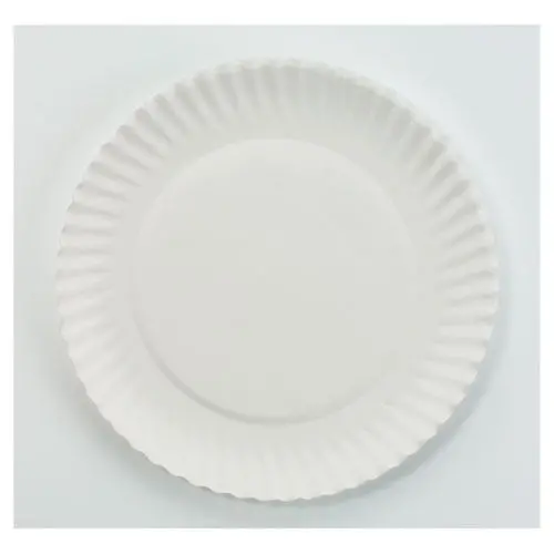Plate,Ppr,Unctd,7",10/100 1