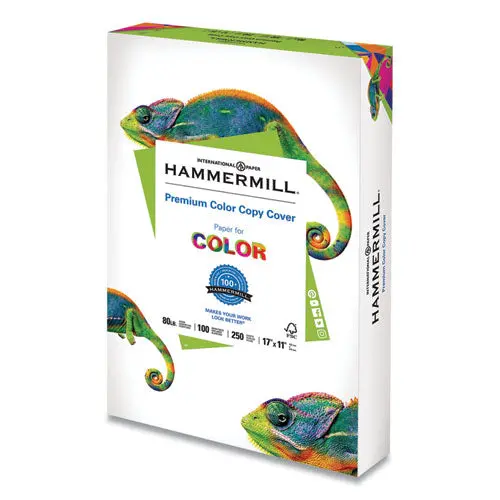 Premium Color Copy Cover, 100 Bright, 80Lb, 17 X 11, 250-Pack 1