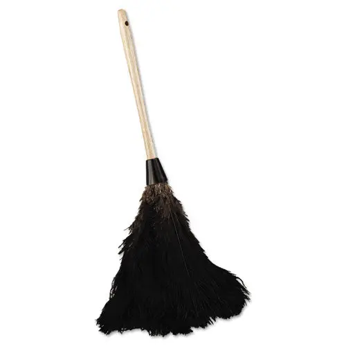 Professional Ostrich Feather Duster, 10" Handle 1