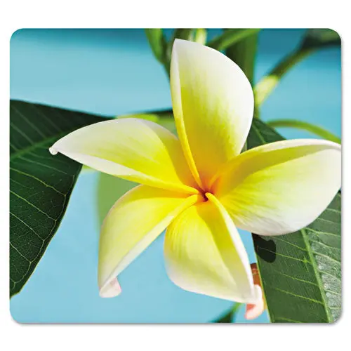 Recycled Mouse Pad, Nonskid Base, 7 1-2 X 9, Yellow Flowers 1