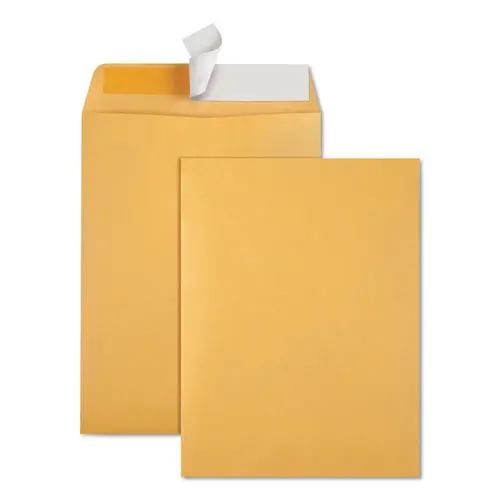 Redi-Strip Catalog Envelope, #10 1-2, Cheese Blade Flap, Redi-Strip Closure, 9 X 12, Brown Kraft, 100-Box 1