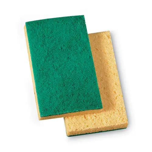 Sponge,Scrb,Med Duty 1